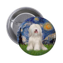 Starry Night - White Tibetan Terrier buttons