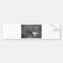 starship nature bumper stickers