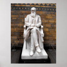 Statue of Charles Darwin Print