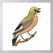Stella Swallow Print