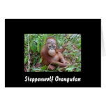 Steppenwolf the Orangutan Orphan cards