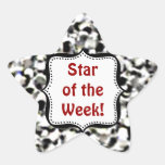 Stickers -Silver Glitter Student Star of the Week