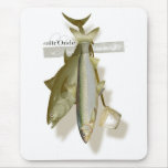 sticky fish mousepad