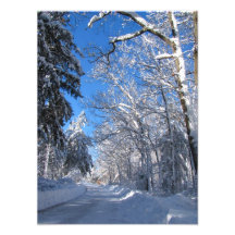 Sticky Snow 35 ~ Photo