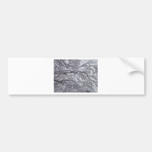 Sticky snow stuck to branches. bumper sticker
