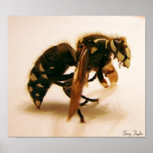 Stinger 15 print