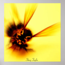 Stinger 4 print