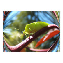 Stink bug 216 ~ ATC Business Cards