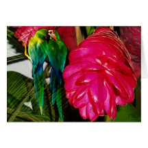 Stolen kisses greeting card
