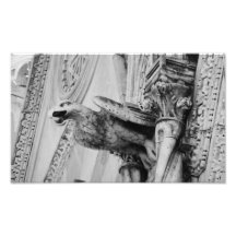 Stone Eagle Photograph