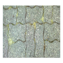 Stone Path Photographic Print