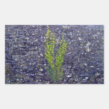 Stonewall with climbing plants sticker