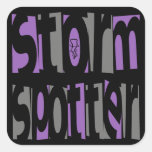 Storm Spotter Stickers