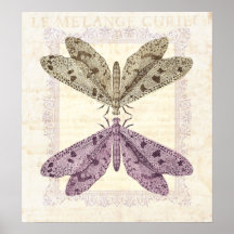 Strange and Mystical Moths Communicating Print