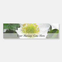 Strawberry Blossom Bumper Stickers