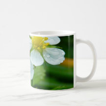 Strawberry Blossoms Mugs