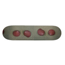 Strawberry top (Clanculus puniceus) Shell Skate Boards