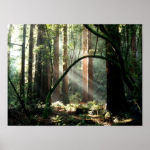 Streaks of Light Print