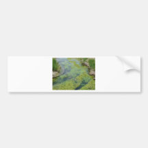 stream bumper stickers
