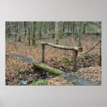 Stream Crossing Posters