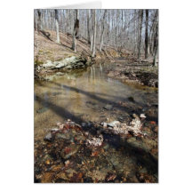 Stream Greeting Cards