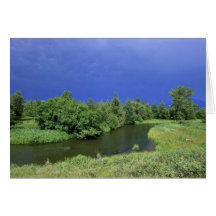 Stream in National Bison Range Greeting Cards