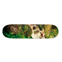 Stream in the forest skateboard decks