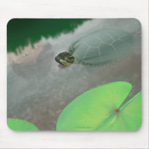 Stream with Turtles and Fish Mouse Mat