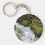 Streams Brooks Water Moss Leaves Keychains