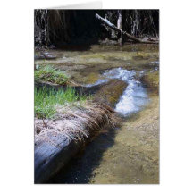 Streams Logs Water Riverbanks Greeting Card