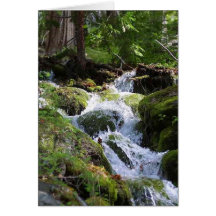 Streams Moss Water Forests Rocks Cards