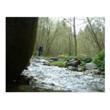 Streams of Joy Post Card