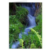Streams of water! card