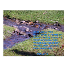 STREAMS POSTCARD