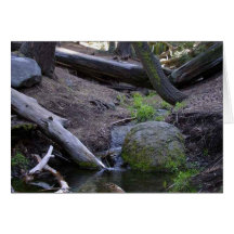 Streams Rocks Water Moss Forrest Trees Cards
