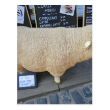 Street Sheep Postcard
