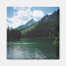 String Lake- Yellowstone Fridge Magnet