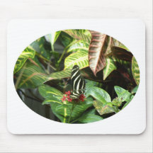 Striped Butterfly Mouse Pad