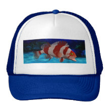 Striped Fish Hat