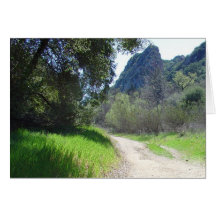 Stroll in the Sun Greeting Cards