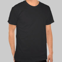 Stronghold - Mediaeval Insults - Poppinjay t-shirts