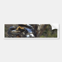 Structure of Roots bumper stickers