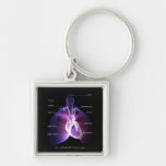 Structure of the heart and lungs keychain