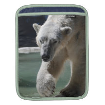 Strutting Polar Bear Sleeve For iPads