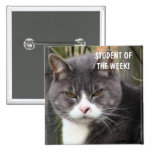 Student of the Week Pin - CAT PHOTO