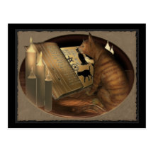 Studying Cat Lessons Post Card