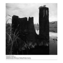Stumps, North of Scotia posters