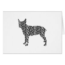 Stumpy Tail Cattle Dog Cards