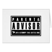Stumpy Tail Cattle Dog Greeting Card