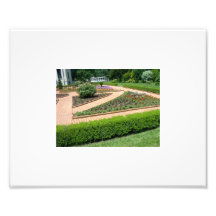 Stunning Lanscaping Photo Art